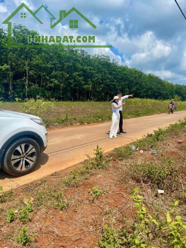 chính chủ cần bán lô đất tại KDC Phú Lộc, huyện Krông Năng, Đắk Lắk - 2