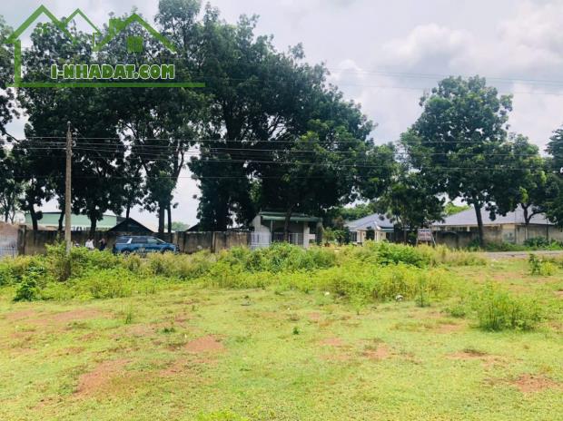 KẸT TIỀN TÔI BÁN 2400M2 ĐẤT SHR MT ĐƯỜNG TỈNH LỘ  ĐỐI DIỆN KCN NHẬT HÀN CHỢ GIÁ 370 TRIỆU