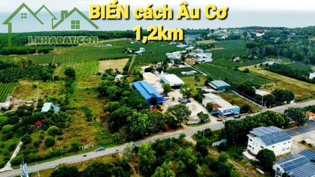 Cần bán nhanh-Đất mặt tiền Âu Cơ-Tiến Thành-Phan Thiết-DT 3.920m2,có 100m2TC