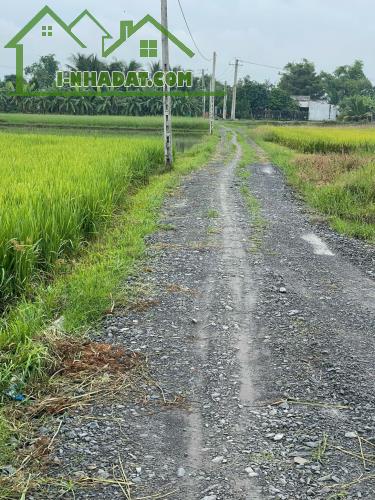 Bán đất vườn liền kề khu công nghiệp Huỳnh Mai, Thuộc Ấp Rừng Sến, Xã Mỹ Hạnh Bắc Huyện - 4