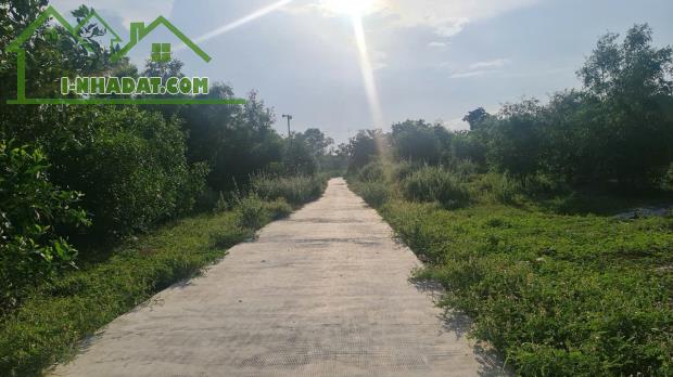 bán đất  6x30(180m2) hẻm NGuyễn Du, Tân Phước, Thị Xã LaGi, Bình Thuận. Gần Biển, Giá Rẻ - 3