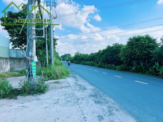 800m2, 15m x 54m đường Thanh Niên Bình Chánh giá 13.5 tỷ - 2