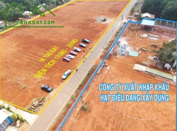 CƠ HỘI ĐẦU TƯ ĐẤT VÀNG TẠI BÌNH PHƯỚC - 1