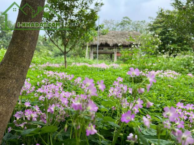 Siêu phẩm nghỉ dưỡng sẵn khuân viên đẹp như tranh vẽ, chỉ việc sách valy về hưởng thụ - 1