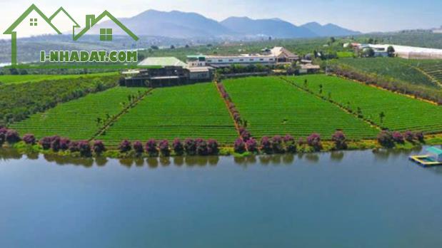 150m2 farm của TiT chỉ 900 triệu thổ cư sổ sẵn – công chứng ngay