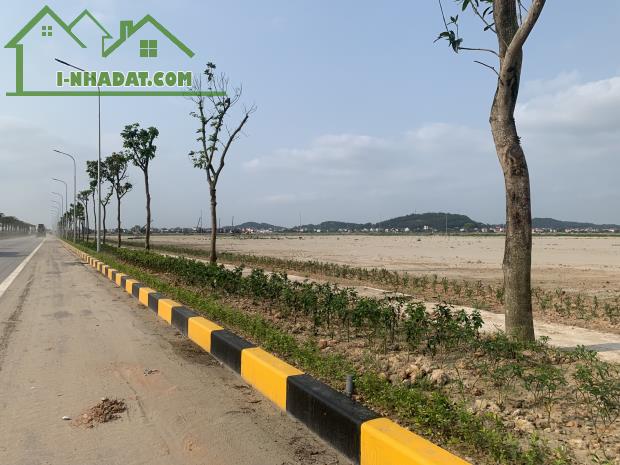 Chuyển nhượng 20.000m2  Khu Công nghiệp Gia Bình 2 - Bắc Ninh - 2