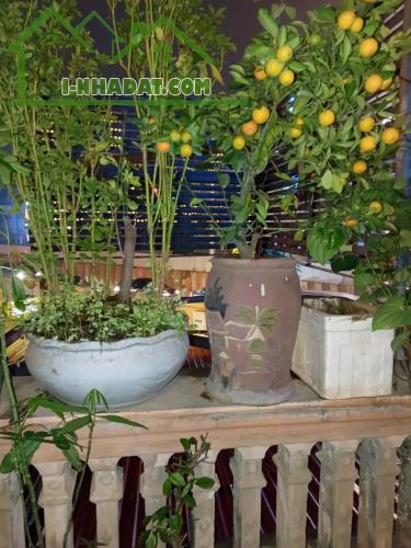 MẶT PHỐ, ÂU CƠ, TÂY HỒ-KD-Ô TÔ- VỈA HÈ:62M X3T, MT 4,5M, GIÁ 16,5 TỶ