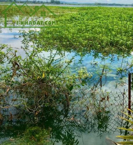 BÁN ĐẤT CHÍNH CHỦ - VIEW HỒ TRỊ AN- LA NGÀ- ĐỊNH QUÁN- ĐỒNG NAI - 3