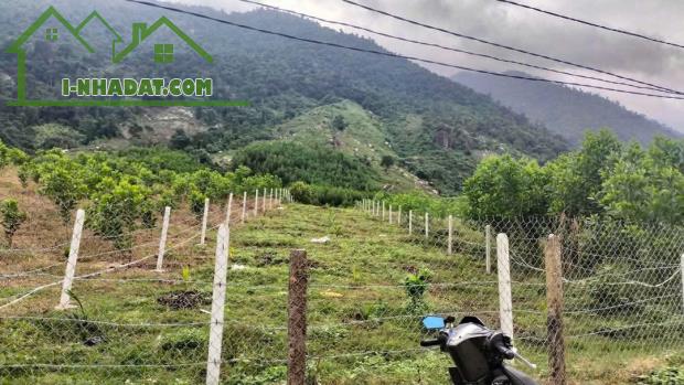 Bán đất vườn Khánh Trung mặt đường bê tông liên thông rộng 7m - gần Farm Hoa Quả Sơn - 3