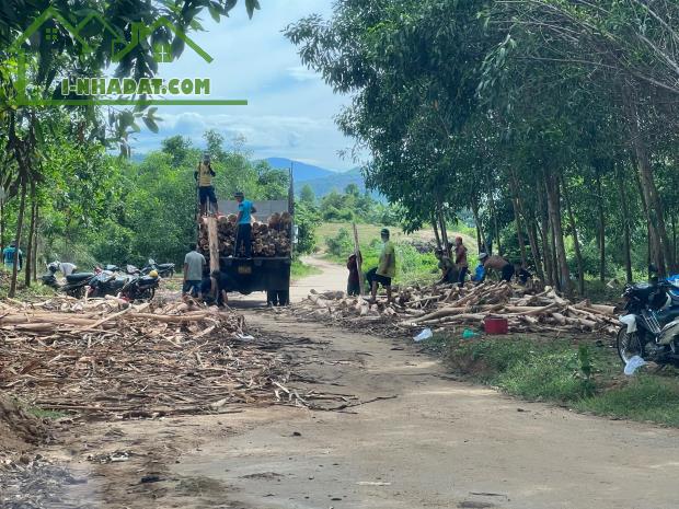 bán 1,9 hecta xã Diên Tân, Diên Khánh làm nhà vườn, trang trại giá rẻ đường betong