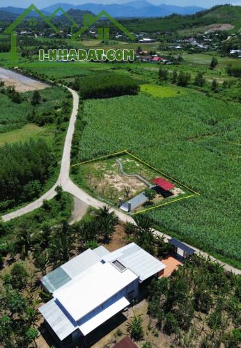 Bán farm đẹp Diên Đồng giá rẻ ngay khu dân cư gần sông Chò - 4