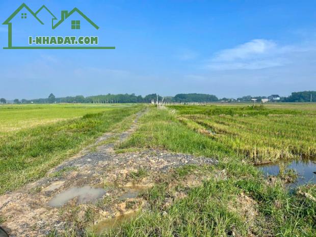 500m2☘️BÁN ĐẤT AN NHƠN TÂY, HẺM XE HƠI, CỦ CHI, GIÁ CHỈ 600 TRIỆU