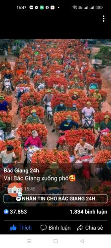 Bán gấp giá rẻ đất phân lô, ô tô 146m, mặt tiền 5m, Đoan Bái, Hiệp Hòa, Bắc Giang. - 4