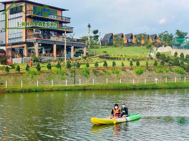 BÁN GẤP LÔ ĐẤT VIEW ĐỒI CHÈ TÂM CHÂU 1.000 HÉC TA NGAY NÚT GIAO CAO TỐC GIÁ CHỈ 500 TRIỆU - 2