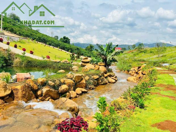 BÁN GẤP LÔ ĐẤT VIEW ĐỒI CHÈ TÂM CHÂU 1.000 HÉC TA NGAY NÚT GIAO CAO TỐC GIÁ CHỈ 500 TRIỆU - 3