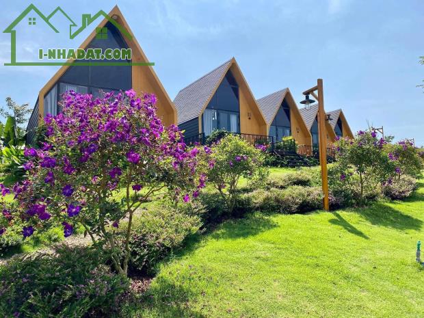 BÁN GẤP LÔ ĐẤT VIEW ĐỒI CHÈ TÂM CHÂU 1.000 HÉC TA NGAY NÚT GIAO CAO TỐC GIÁ CHỈ 500 TRIỆU - 5