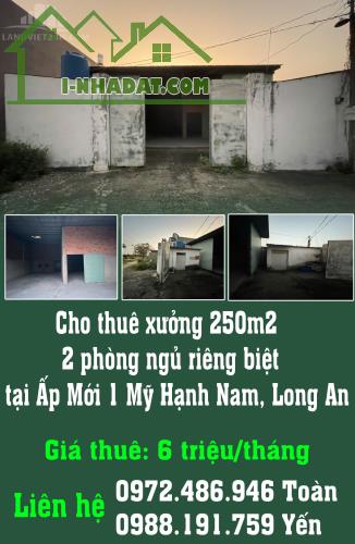 Cho thuê xưởng 250m2, 2 phòng ngủ riêng biệt tại Ấp Mới 1 Mỹ Hạnh Nam, Long An - 4