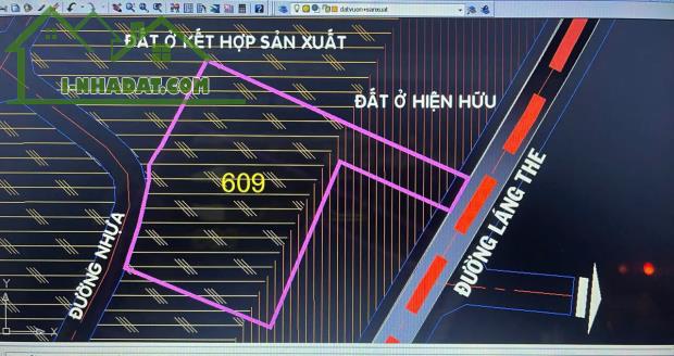 4200m2 đất 2 mặt tiền đường nhựa xã Tân Thạnh Tây, Củ Chi giá 19 tỷ - 5