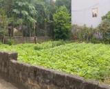 🌈 HÀNG F0 FULL THỔ TẠI THANH BÌNH, CHƯƠNG MỸ - GIÁ MỀM HƠN BÚN