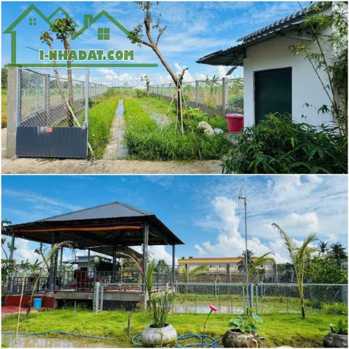 CHÍNH CHỦ Cần Bán GẤP Lô Đất Tiềm Năng Đường Nam Kỳ Khởi Nghĩa, Xã An Ninh, Châu Thành, - 4