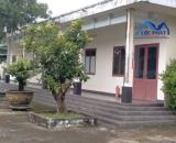 T331_Cho thuê đất , kho bãi 1,5ha tại Phường Long Hưng giá chỉ 70 triệu