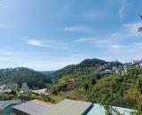 Đất View Rừng Thông Thoáng Đẹp Hoàng Hoa Thám – Không Gian Lý Tưởng Cho An Cư & Nghỉ Dưỡng