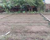 Bán Đất - Lạc Nông(Mai Đình) - 46M2 Full Thổ Cư - 1,7 Tỷ