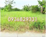 ⭐Chính chủ bán nhanh lô đất đẹp giá tốt mặt đường Trần Văn Đức, xã Bình Lãng, Tân Trụ