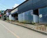 Đất Diện Tích Rộng Trung Tâm Thị Trấn Lạc Dương – Vị Trí Đắc Địa, Phù Hợp Đầu Tư