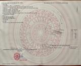 Bán vườn cây ăn trái giáp sông Cái ở Diên Thọ . Diện tích 2600m2 . Giá 6 tỉ Còn TL