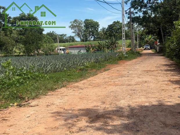 BÁN LÔ ĐẤT SIÊU VIP 1288M SẴN SỔ SANG TÊN