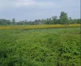ĐẤT CHÍNH CHỦ- GIÁ TỐT CẦN BÁN NHANH LÔ ĐẤT Tân Trạch, Cần Đước, Long An