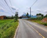 Bán đất 5x28m (138m2) mặt tiền nhựa Bàu Sen xã Đức Lập Hạ, Đức Hòa, Long An giá 1.6 tỷ