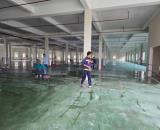 🌾CHO THUÊ KHO XƯỞNG DỆT NHUỘM KHU CÔNG NGHIỆP BÌNH CHÁNH TP HCM ( mới 💯) of