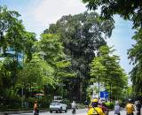 BÁN GẤP NHÀ VÕ CHÍ CÔNG DT 55M, XÂY 4 TẦNG, MẶT TIỀN 5M, GẦN Ô TÔ, GIÁ CHÀO 9.3 TỶ