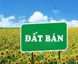 CẦN BÁN ĐẤT NỀN LÔ GÓC CỰC ĐẸP TẠI PHƯỜNG CỬA ĐẠI – HỘI AN – ĐÀ NẴNG