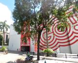 Bán Đất Hẻm Ô Tô-Đường Số-Linh Xuân-Ngang 10m-330m2(10mx33m)- Nhỉnh 13 Tỷ(TL)