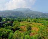 Chỉ 3.7tỷ có 646m2 đất Ao vua, Tản Lĩnh, Suối Hai, Ba Vì