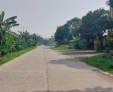 CẦN BÁN LÔ ĐẤT 78M PHỐ BÌNH KHANG NINH KHÁNH _ 3,85 TỶ.