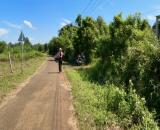 Ngộp bank, bán gấp lô đất 160m2 có 80m thổ cư sát bên KCN Xuân Quế