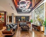 Ngộp bank bán Gấp Biệt thự BT2 BT3 KĐT Linh Đàm gần hồ Linh Đàm 230m2 chỉ 52.x tỷ. 0989626