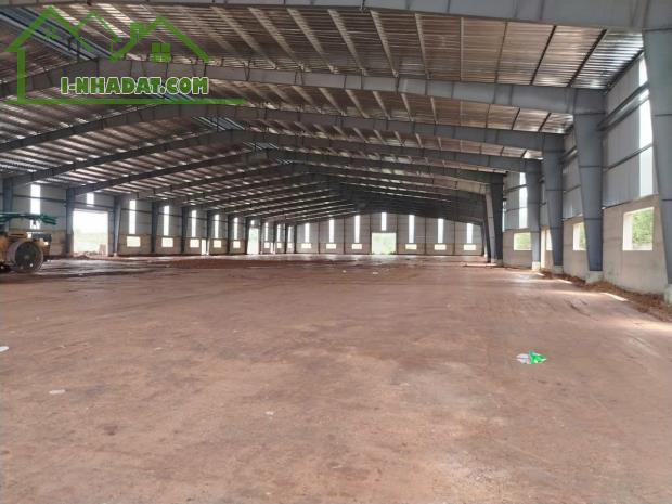 Cho Thuê 5.500m2 Nhà Xưởng Tại Bàu Bàng Bình Dương Giấy Tờ Đầy Đủ - 1