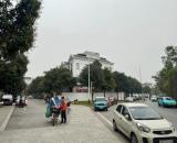 Bán biệt thự cao cấp đường Nguyệt Quế 25 Vinhomes Riverside, Long Biên, Hà Nội