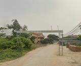 Bán đất Ấp Tre, Quang Minh, TP Hà Nội. Đường thông bàn cờ, gần KCN, trường CD Y Dược