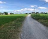 BÁN ĐẤT XÃ TÂN BÌNH TÂN TRỤ ĐƯỜNG XE HƠI SÁT TỈNH LỘ  2000M2 NHIK 1,5 TỶ