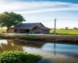 🌿 BÁN ĐẤT CÂY TRỒNG 1800m2– GẦN KCN HÀM KIỆM, HÀM THUẬN NAM GIÁ 530TR