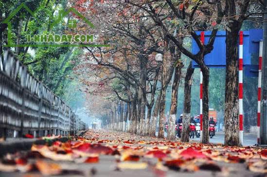 TOÀ CHDV TT BA ĐÌNH, Ô TÔ ĐỖ CỬA, 7 TẦNG, THANG MÁY, DT 50M, GIÁ CHÀO 11 TỶ