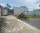 BÁN 109M² FULL THỔ SẴN SỔ TẠI ĐỒI CHÈ THANH BÌNH – VỊ TRÍ ĐẮC ĐỊA, NHỈNH 2 TỶ! 🏡