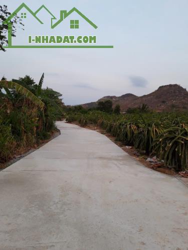 Chính Chủ Cần tiền bán lỗ 10.874m đất Thôn An Bình Xã Sông Phan, Hàm Tân Bình Thuận chỉ 3,