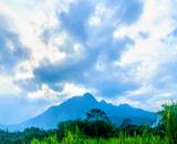 Bán đất Ba Trại Ba Vì, thôn 7, 100m ra TL87a, oto tránh, đg thông, 379m, 3.65tỷ